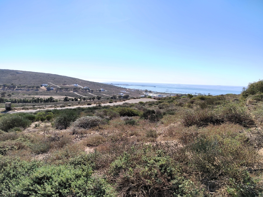 0 Bedroom Property for Sale in Steenbergs Cove Western Cape